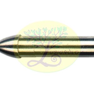 bullet