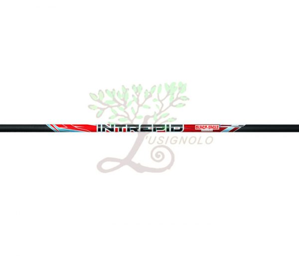 ASTA CARBONIO BLACK EAGLE 1000(PZ.1)